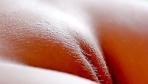 Striptease XXX Videos (4016)